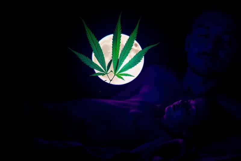 Side-by-side comparison of sativa and indica cannabis plants