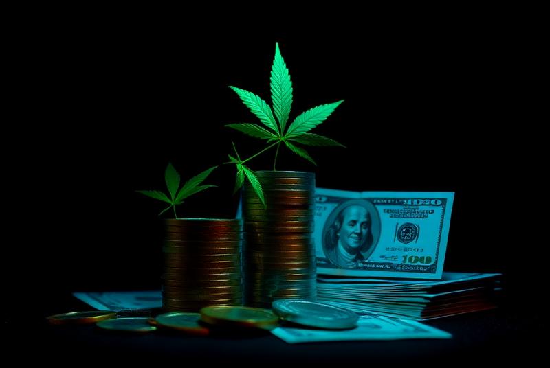 Cannabis yoga practice for wellness and meditation