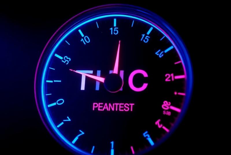 Patient discussing cannabis with healthcare provider