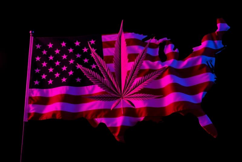 Cannabis industry technology and innovation showcase